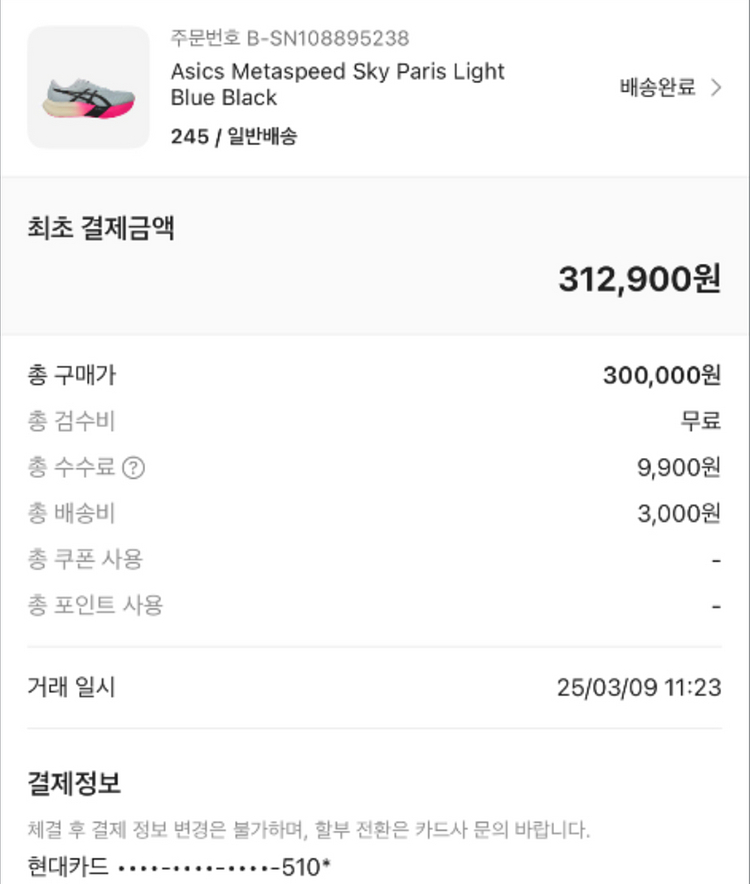 메타스피드 스카이 (245)--3