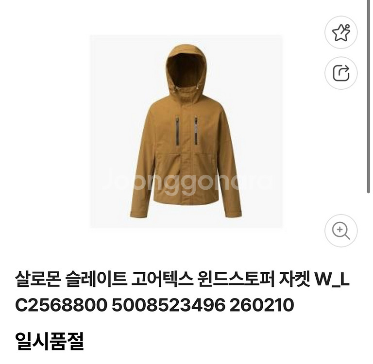 살로몬 슬레이트 고어텍스 자켓 S--2