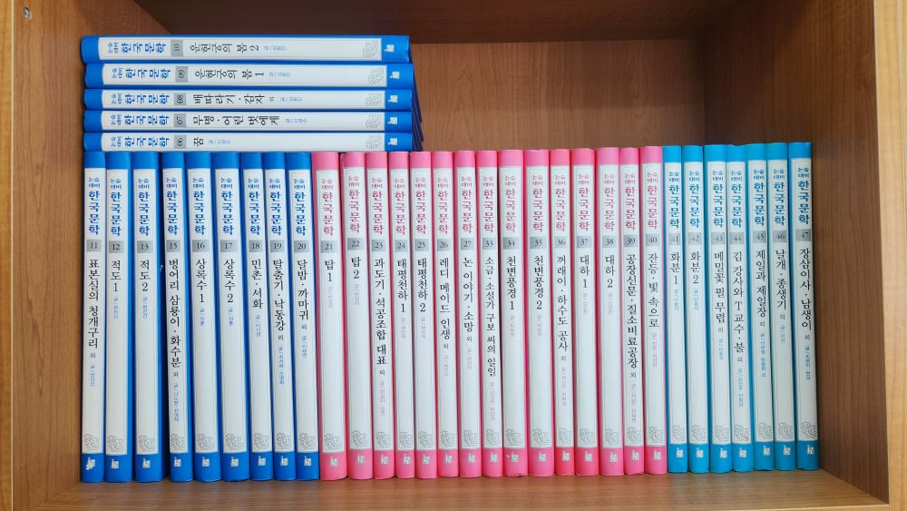 한국헤르만헤세-명문대에들어갈수있는 논술대비 한국문학(특AA급-진열수준) 이미지