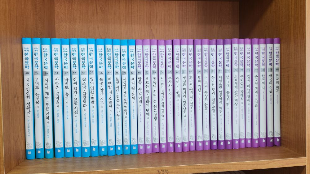 한국헤르만헤세-명문대에들어갈수있는 논술대비 한국문학(특AA급-진열수준) 이미지