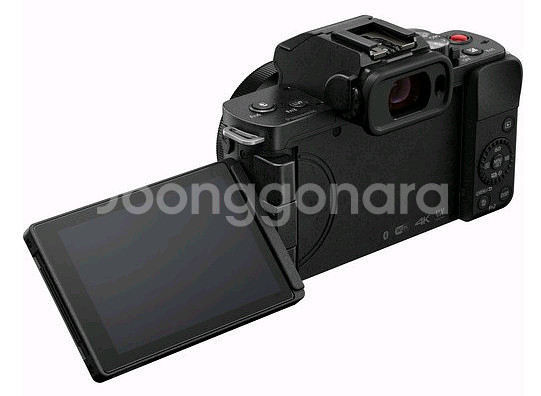 파나소닉 루믹스 G100카메라--3