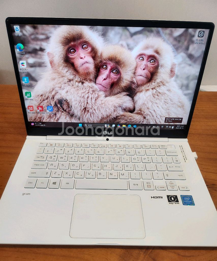 대용량 LG gram 노트북(20램 512SSD)--0
