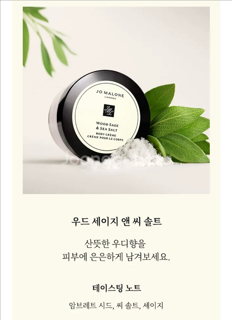 (새상품) 조말론 우드세이지 앤 씨솔트 바디크림--4
