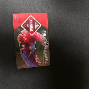 애뉴얼패스 팝니다(26년 8월까지)