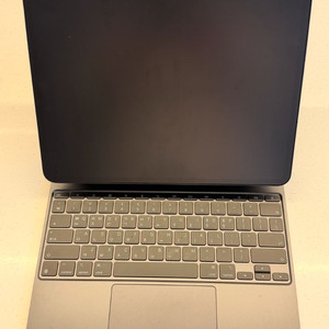 아이패드 프로 M4 13 셀롤러 1TB