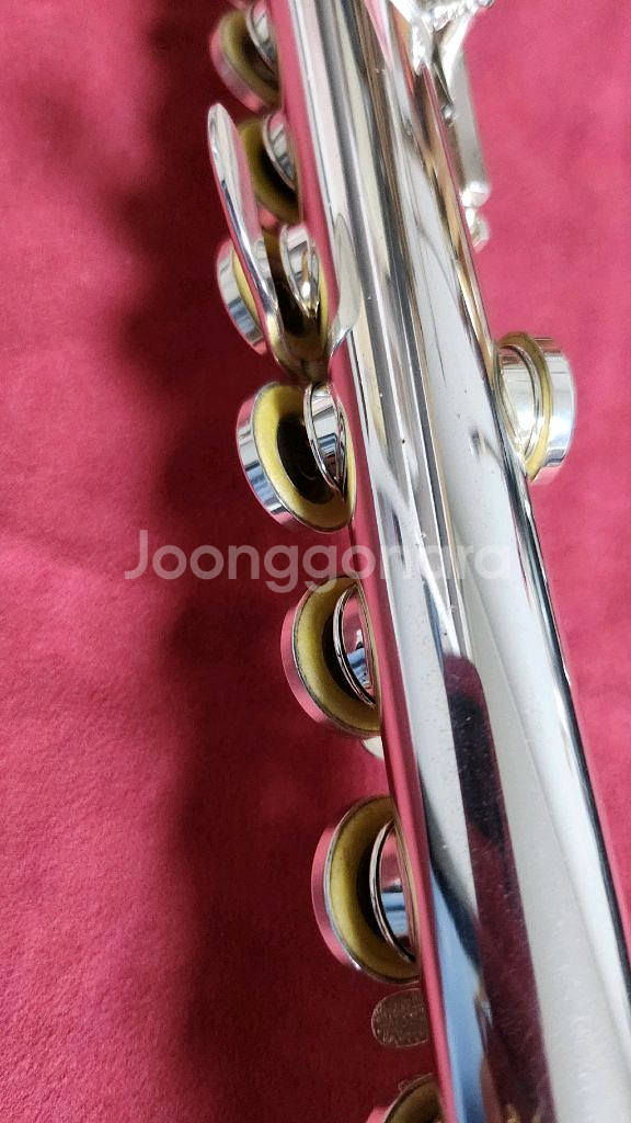 쥬피터 511r 플룻 u자관 포함--5