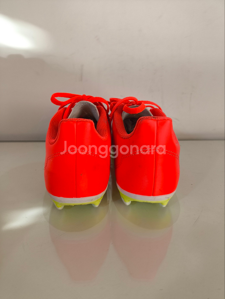 240mm 아디다스 크레이지패스트 클럽 FXG 축구화--7