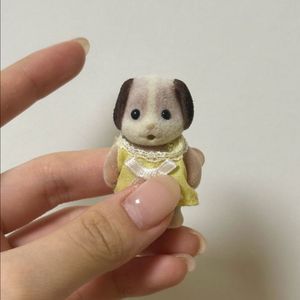 실바니안 비글 올드 직립개조