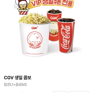 CGV 생일콤보 (~25.11.02) 9,000원