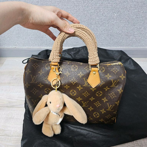루이비통스피디30