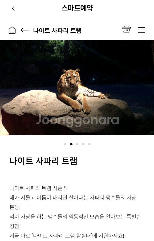 에버랜드 나이트사파리 팝니다--0
