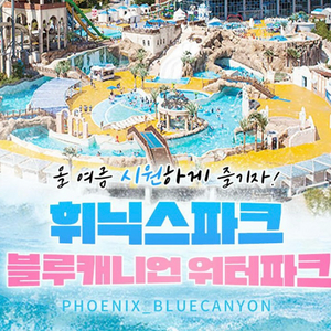 휘닉스파크 블루캐니언 워터파크 입장권