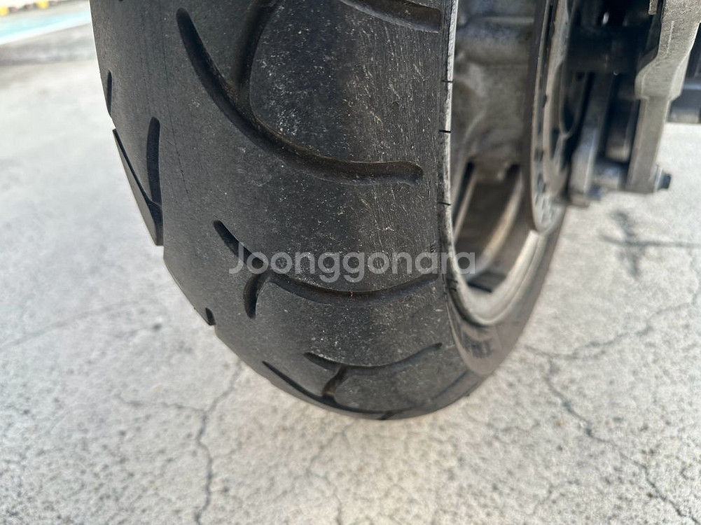 버그만650--4