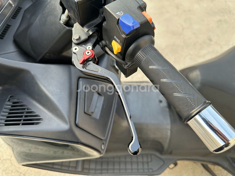 버그만650--5