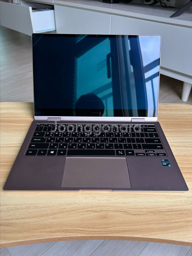 삼성전자 갤럭시북 프로360 NT930QDB + 펜--1