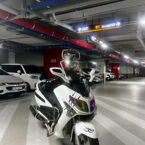 보이져 300