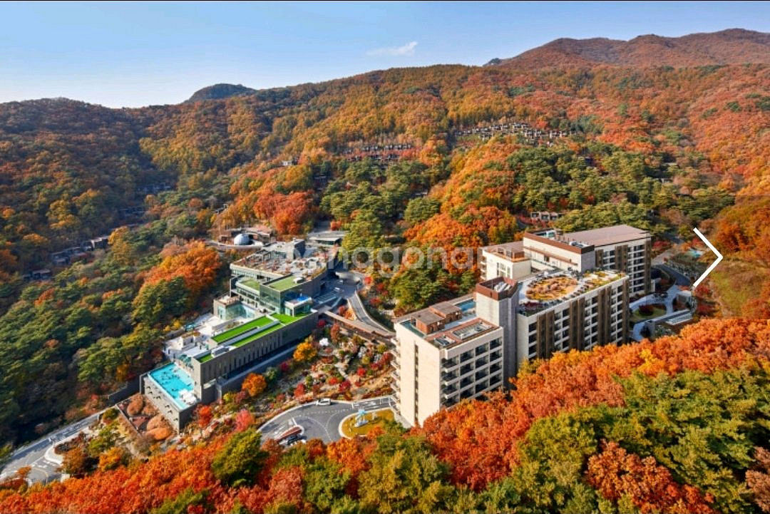 레스트리 리솜 10.10~12--0