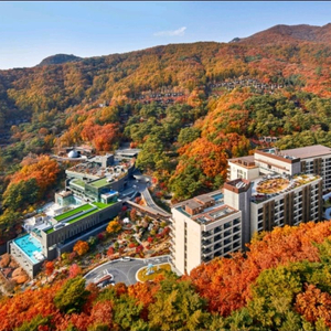 레스트리 리솜 10.10~12