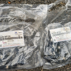 현대 튜익스 rays 휠 너트 한대분