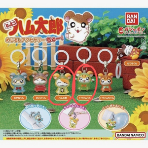 햄토리 메지루시2