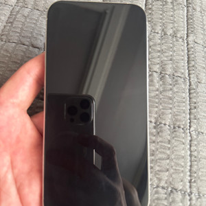 아이폰 15 Pro Max 256GB 실버 애케플