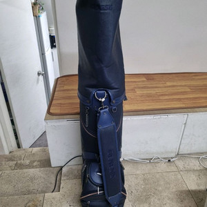 (파격할인)제네시스골프백