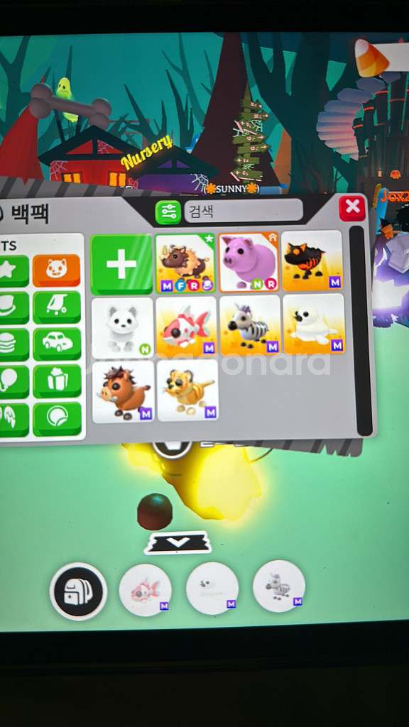 입양하세요--0