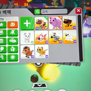입양하세요