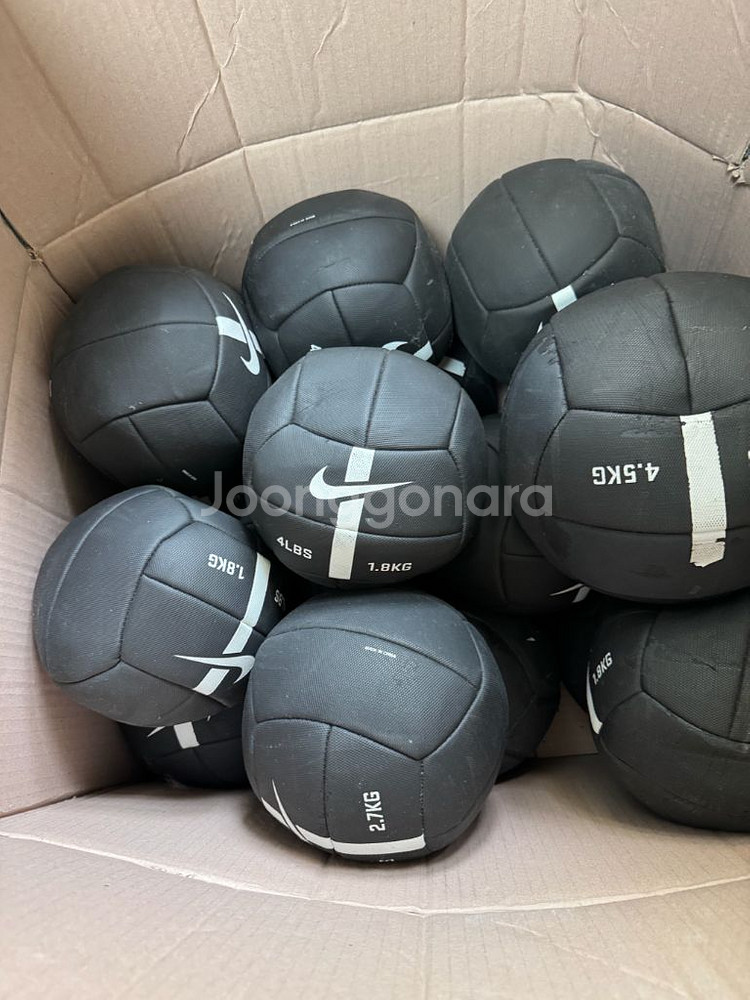 크로스핏 메디신볼 다이나맥스/나이키 월볼--3