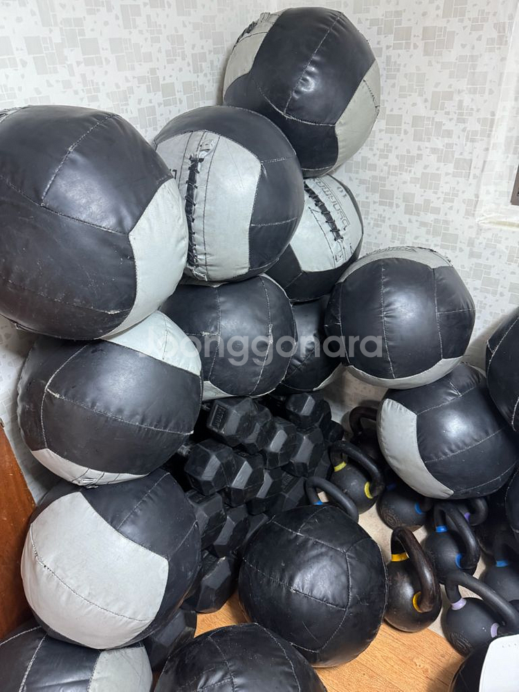 크로스핏 메디신볼 다이나맥스/나이키 월볼--2