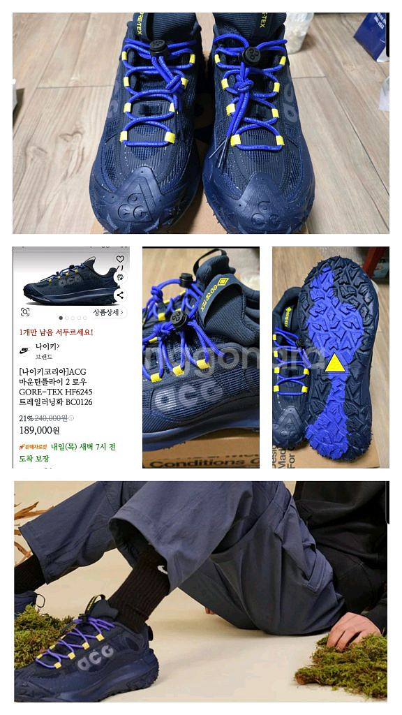 나이키 ACG 마운틴 플라이 2 260cm--0