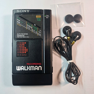 SONY F404