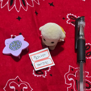 실바니안 블라인드백 헤어살롱 아기양