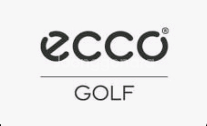 에코 ECCO 골프 가방 골프화 주머니 파우치--1