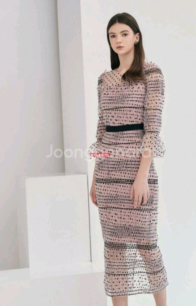 에스블랑 시스루 도트 롱원피스 55사이즈--4