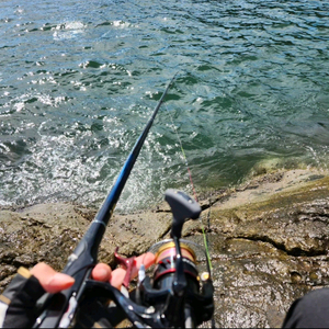 다이와 이소시오3 1.25-530 가이드튜닝 낚시대