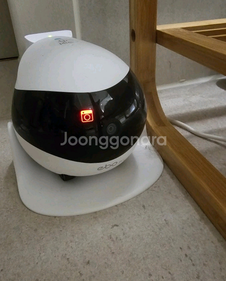 ebo se 반려동물 cctv--0