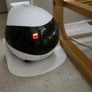 ebo se 반려동물 cctv