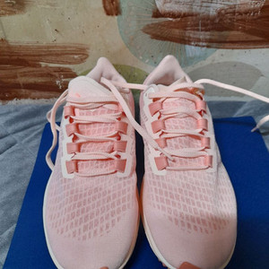 나이키 에어 줌 페가수스 37