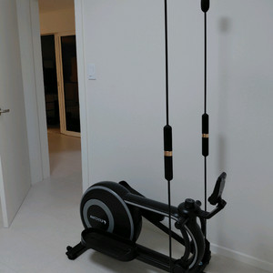 이고진 fx 플렉시바 일립티컬