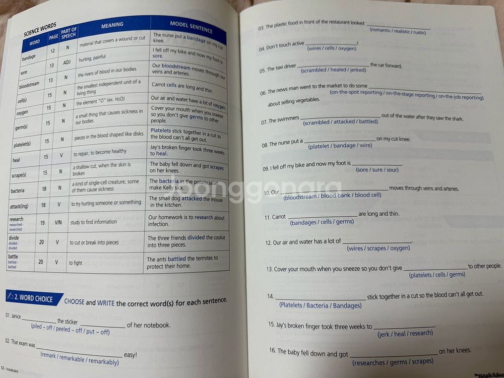 애플리스 매직스쿨버스 리더스북+워크북+dvd+cd 풀셋--4