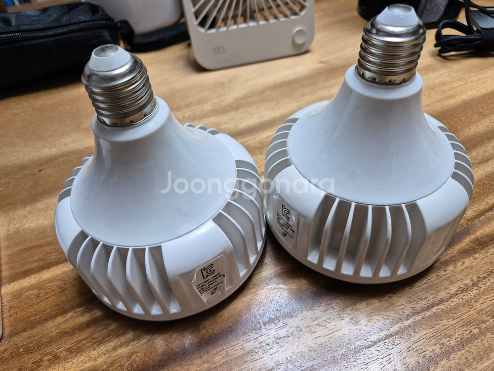 햇빛아래 식물등--0