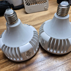 햇빛아래 식물등