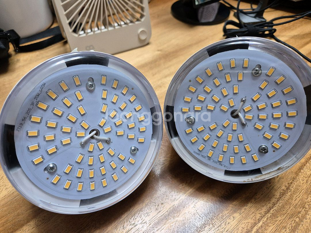 햇빛아래 식물등--1