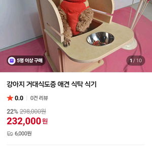 강아지 거대식도증 식탁