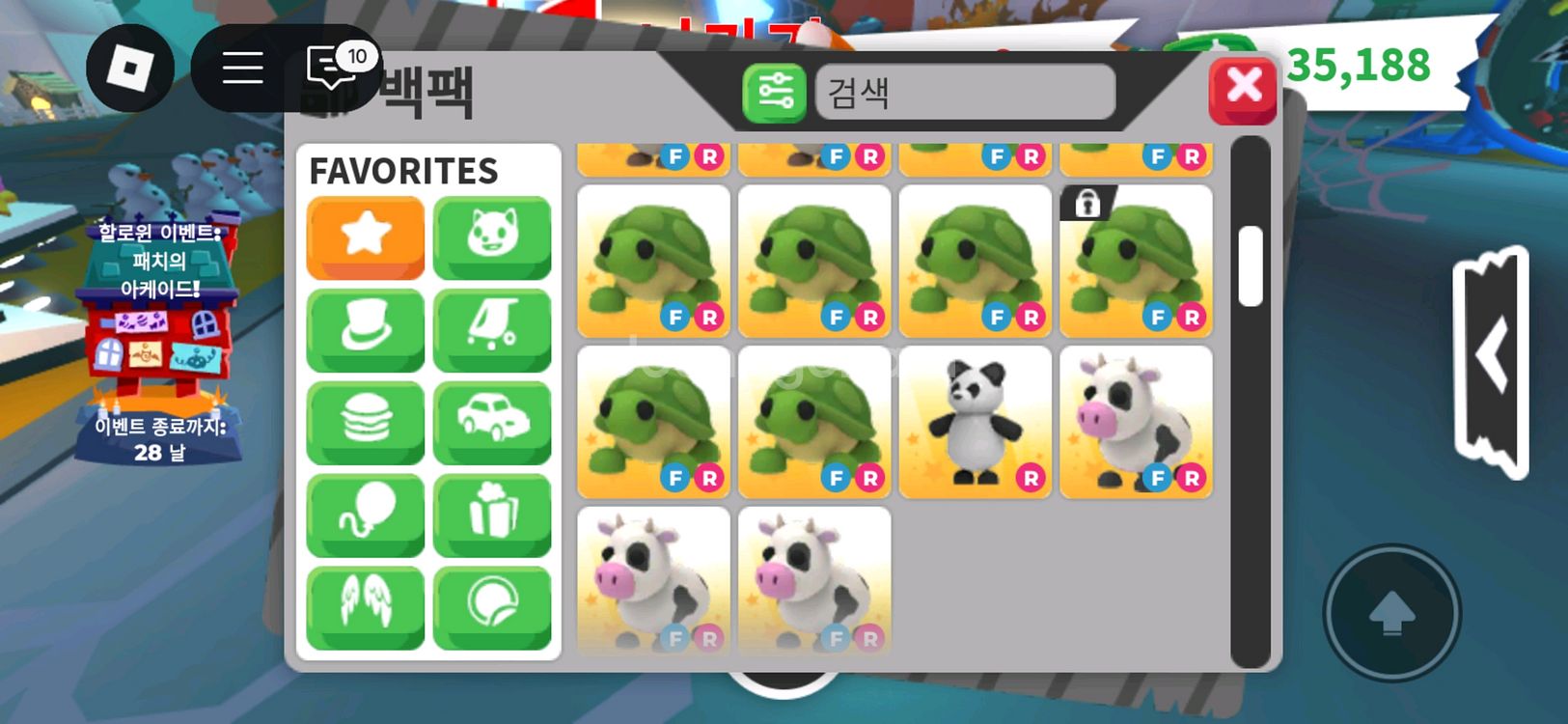 입양하세요--1