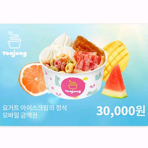 칼답) 요거트아이스크림의정석 요아정 3만원