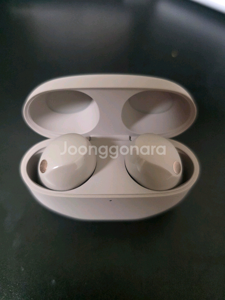 소니 무선 이어폰 WF-1000XM5 스모키 핑크--3