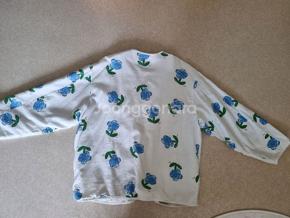 보네오네키즈--3