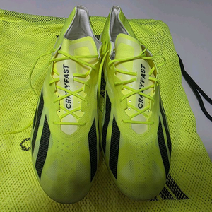 크레이지패스트 FG